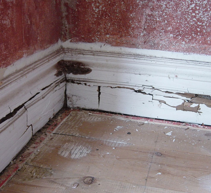 Dry Rot Surveys Plymouth Devon Cornwall | Dry Rot Treatments | Timber Treatments Plymouth Devon Cornwall | Timber Surveys Plymouth Devon Cornwall