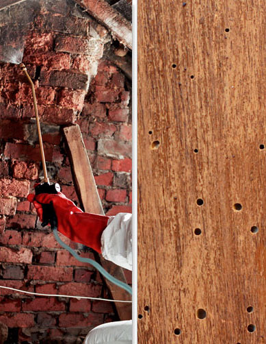 Timber Treatment Plymouth | Timber Treatment Devon | Timber Treatment South Hams | Timber Treatment Cornwall 