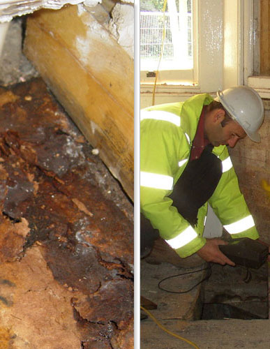 Wet Rot Surveys Plymouth Devon Cornwall | Wet Rot Treatments | Timber Treatments Plymouth Devon Cornwall | Timber Surveys Plymouth Devon Cornwall