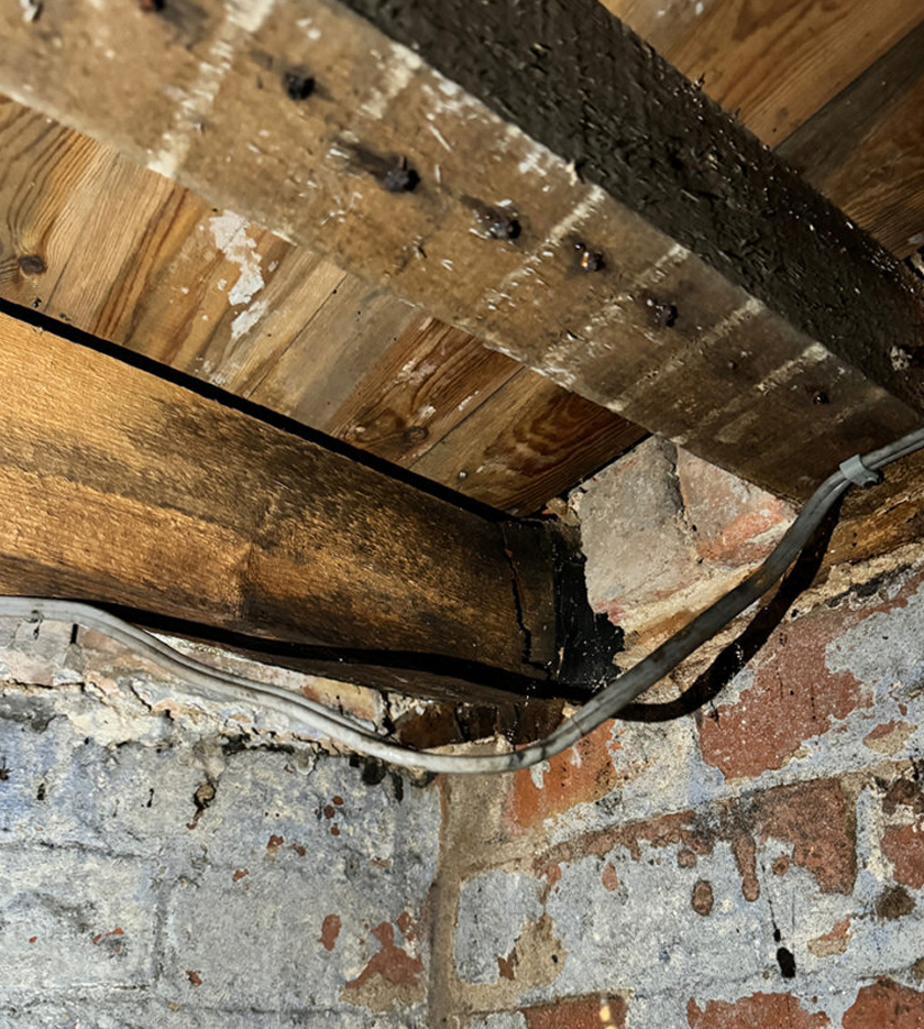 Dry Rot Surveys Tavistock Devon | Dry Rot Treatments Tavistock Devon | Wet Rot Treatments Tavistock Devon | Timber Surveys Tavistock Devon 